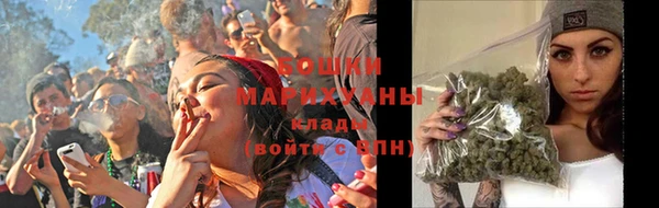 дживик Майский