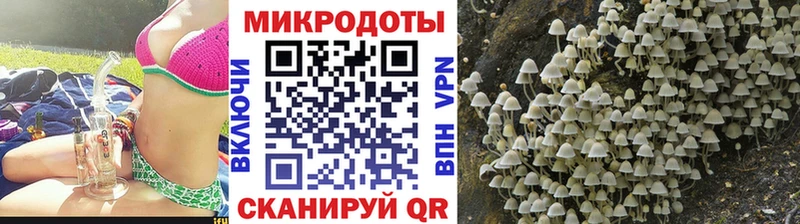 Галлюциногенные грибы мухоморы  Волжский 