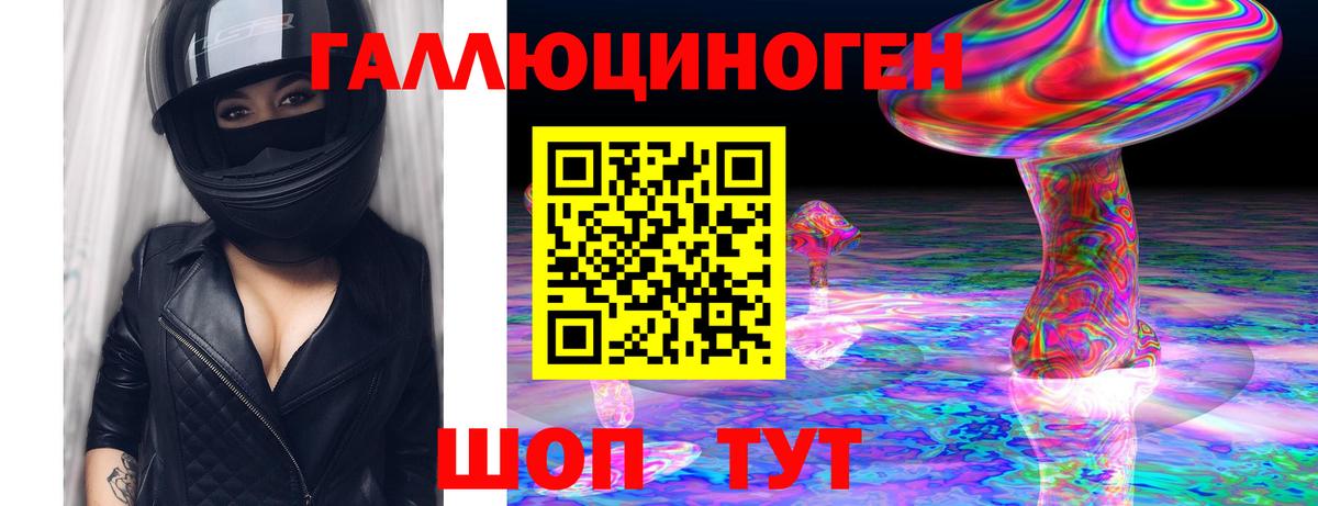 Галлюциногенные грибы Psilocybine cubensis Волжский