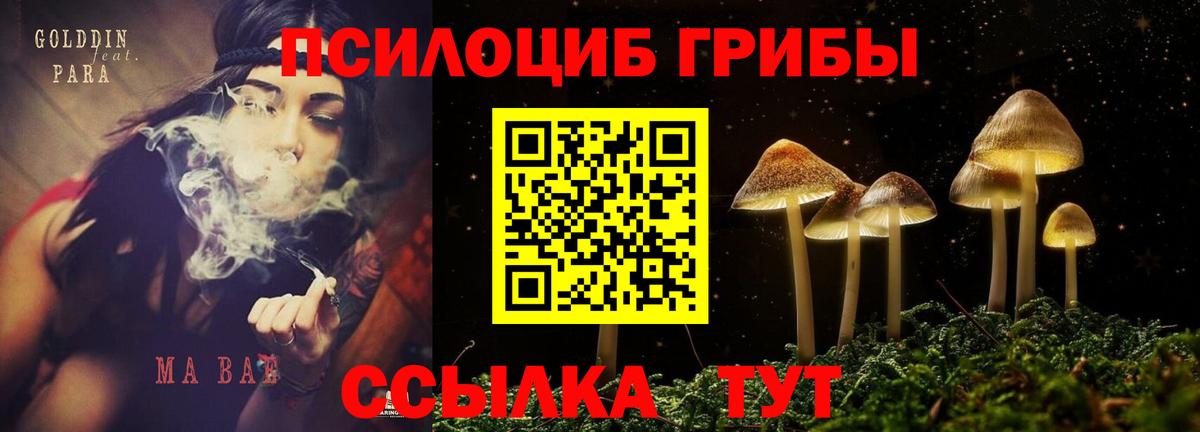Галлюциногенные грибы Psilocybe  Вход с VPN  Волжский 